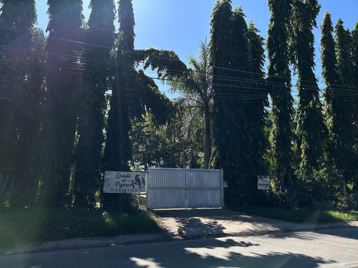 A gated entrance to the property is framed by tall, leafy trees and shrubbery, providing a sense of privacy. The white gate is flanked by signage indicating the property name, and the roadway is visible in front of the entrance.