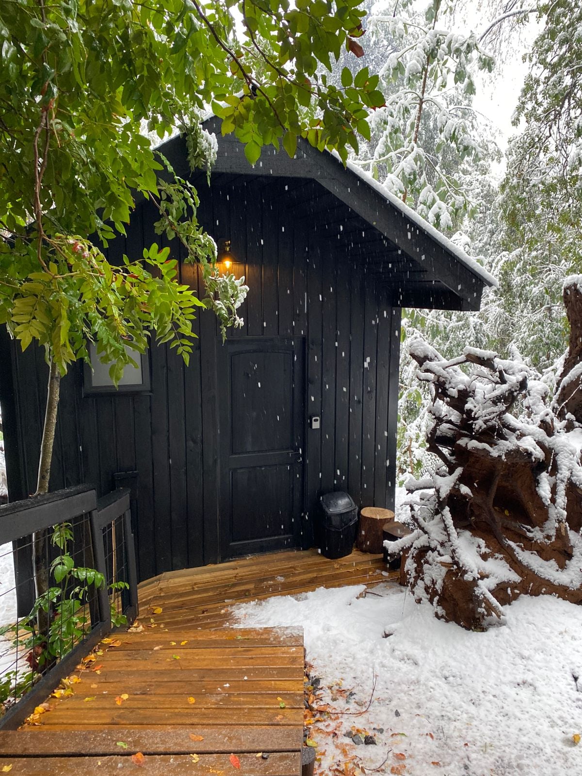The exterior of a dark wooden cabin is visible, framed by snow-covered trees. A snow-dusted wooden pathway leads to the door, which is illuminated by a warm light fixture. Snowflakes gently fall in the serene landscape, enhancing the winter ambiance.