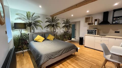 Beautiful flat near Strasbourg