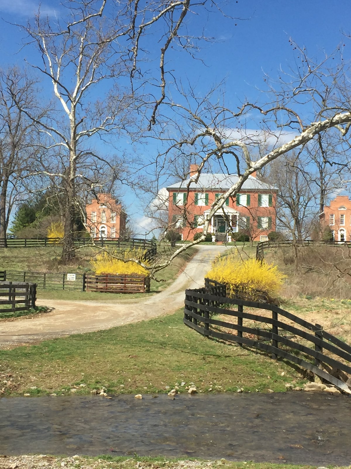 The historic manor house is set against a clear blue sky, with a long gravel driveway leading up to it. Yellow flowering bushes and leafless trees flank the path, and a gentle stream meanders alongside the grassy landscape.