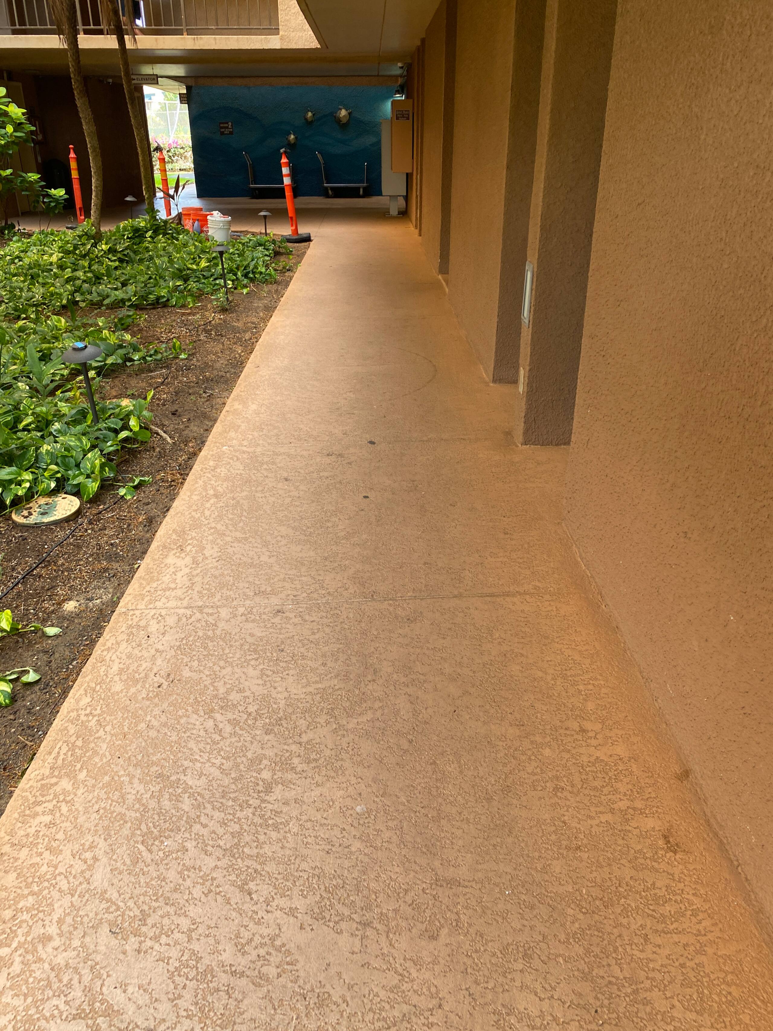 Condo in Kihei · ★4.96 · 1 bedroom · 2 beds · 1 bath - Image 60