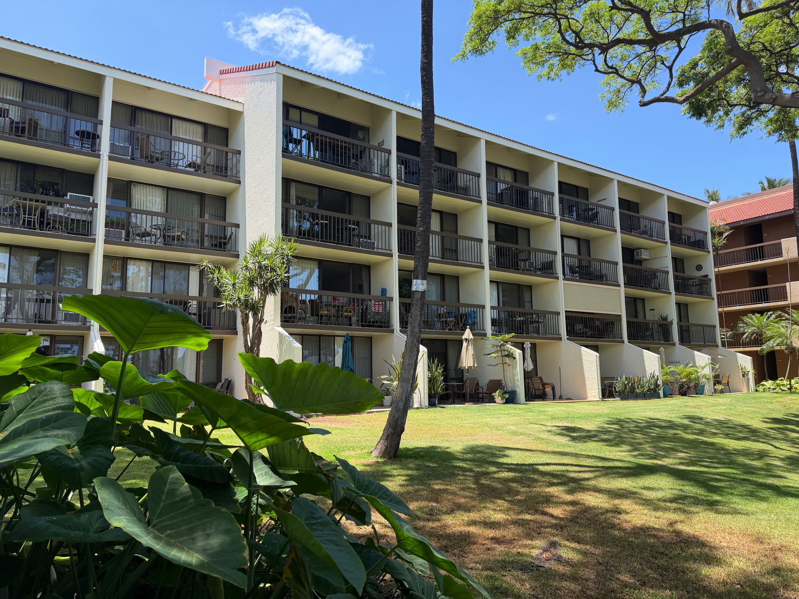 Condo in Kihei · ★4.96 · 1 bedroom · 2 beds · 1 bath - Image 40