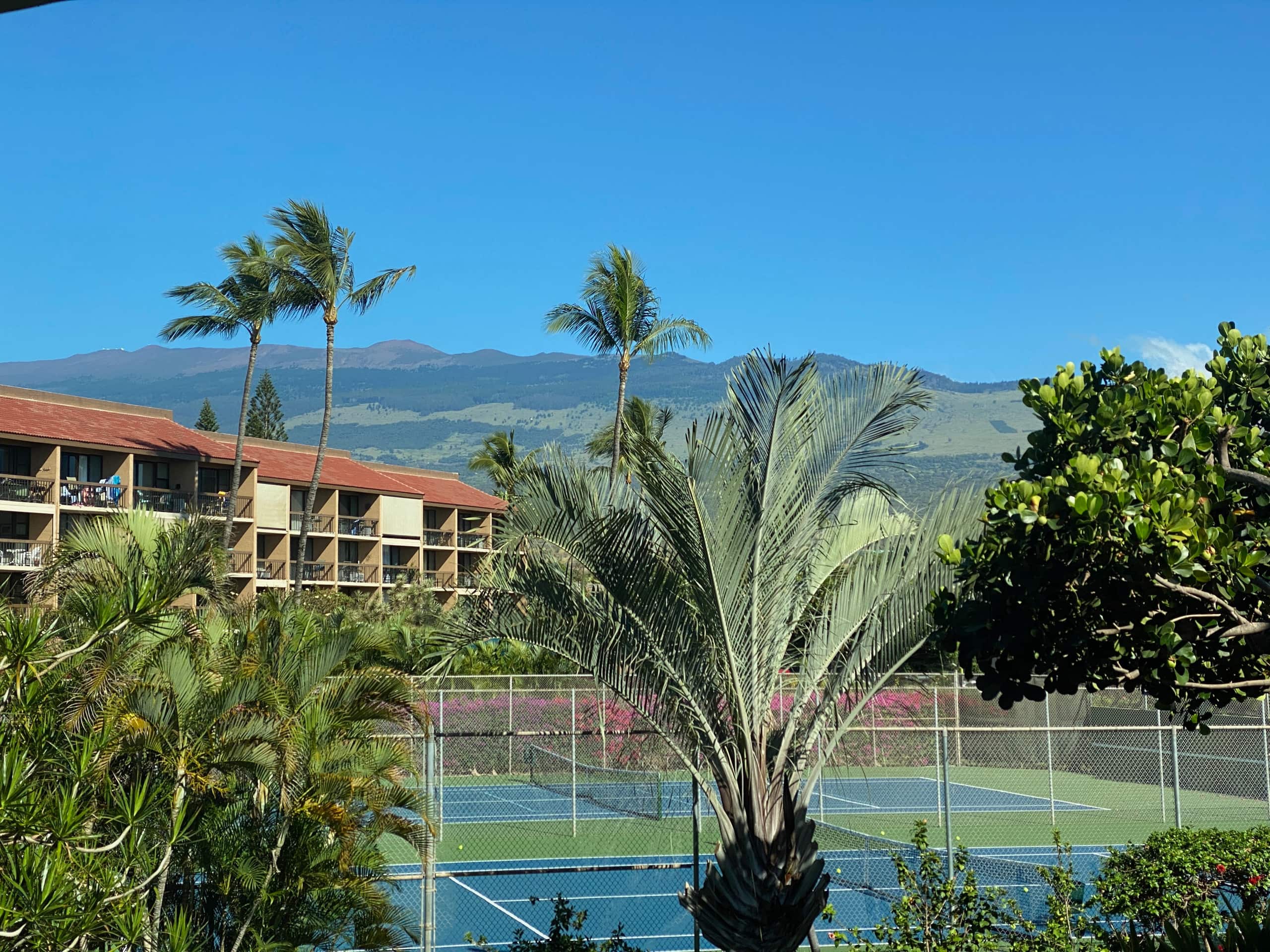 Condo in Kihei · ★4.96 · 1 bedroom · 2 beds · 1 bath - Image 41