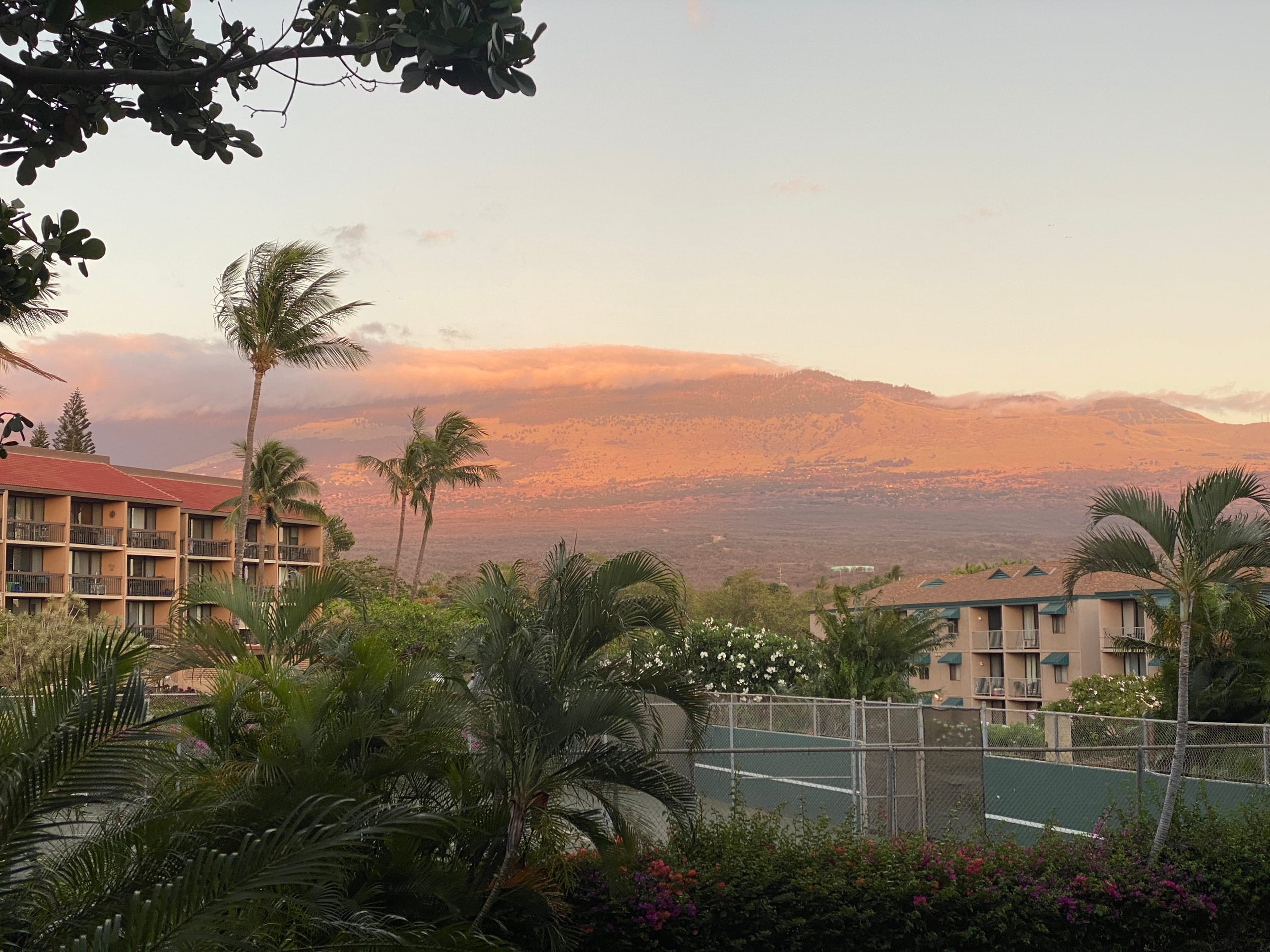 Condo in Kihei · ★4.96 · 1 bedroom · 2 beds · 1 bath - Image 42