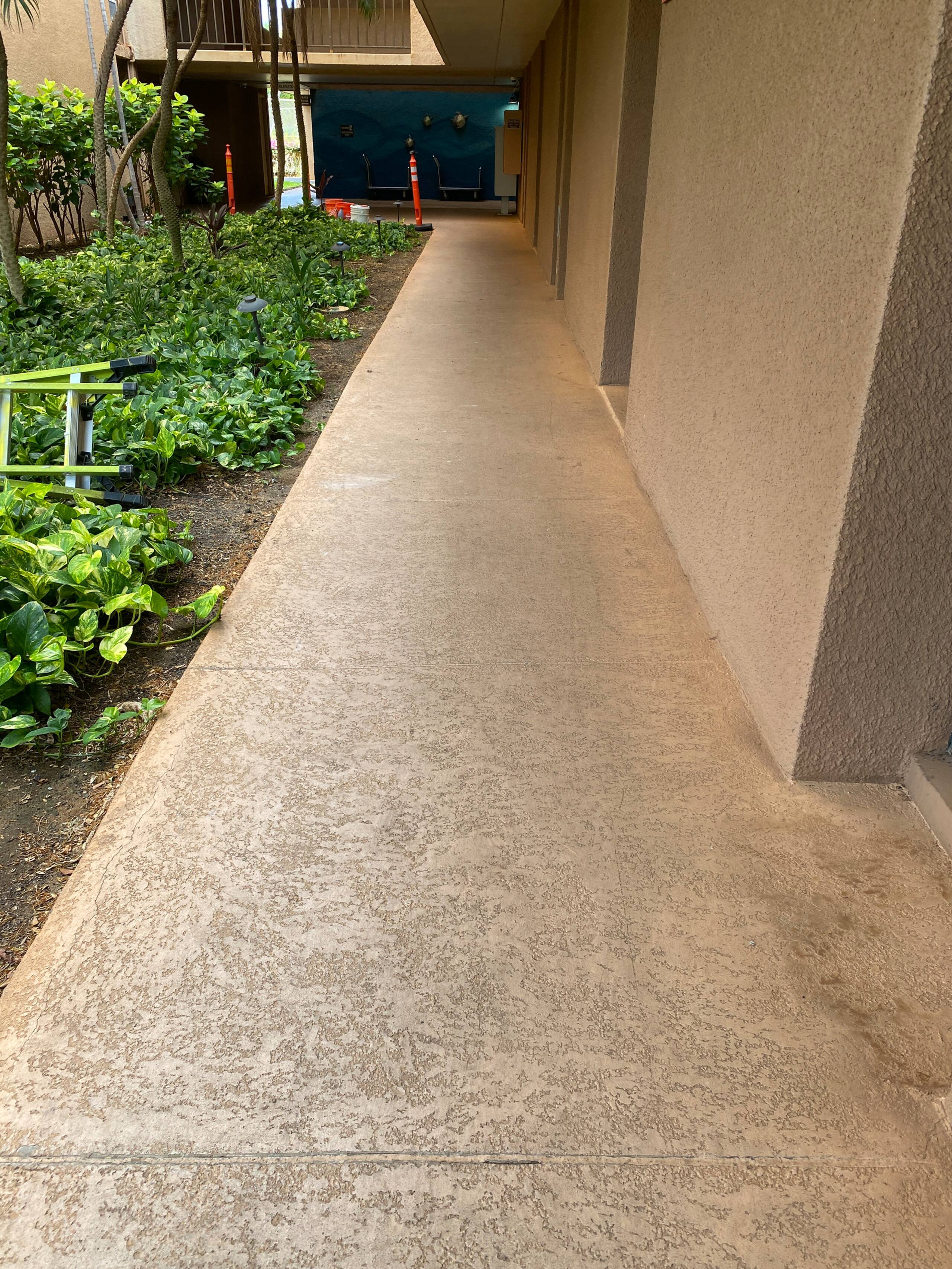 Condo in Kihei · ★4.96 · 1 bedroom · 2 beds · 1 bath - Image 59