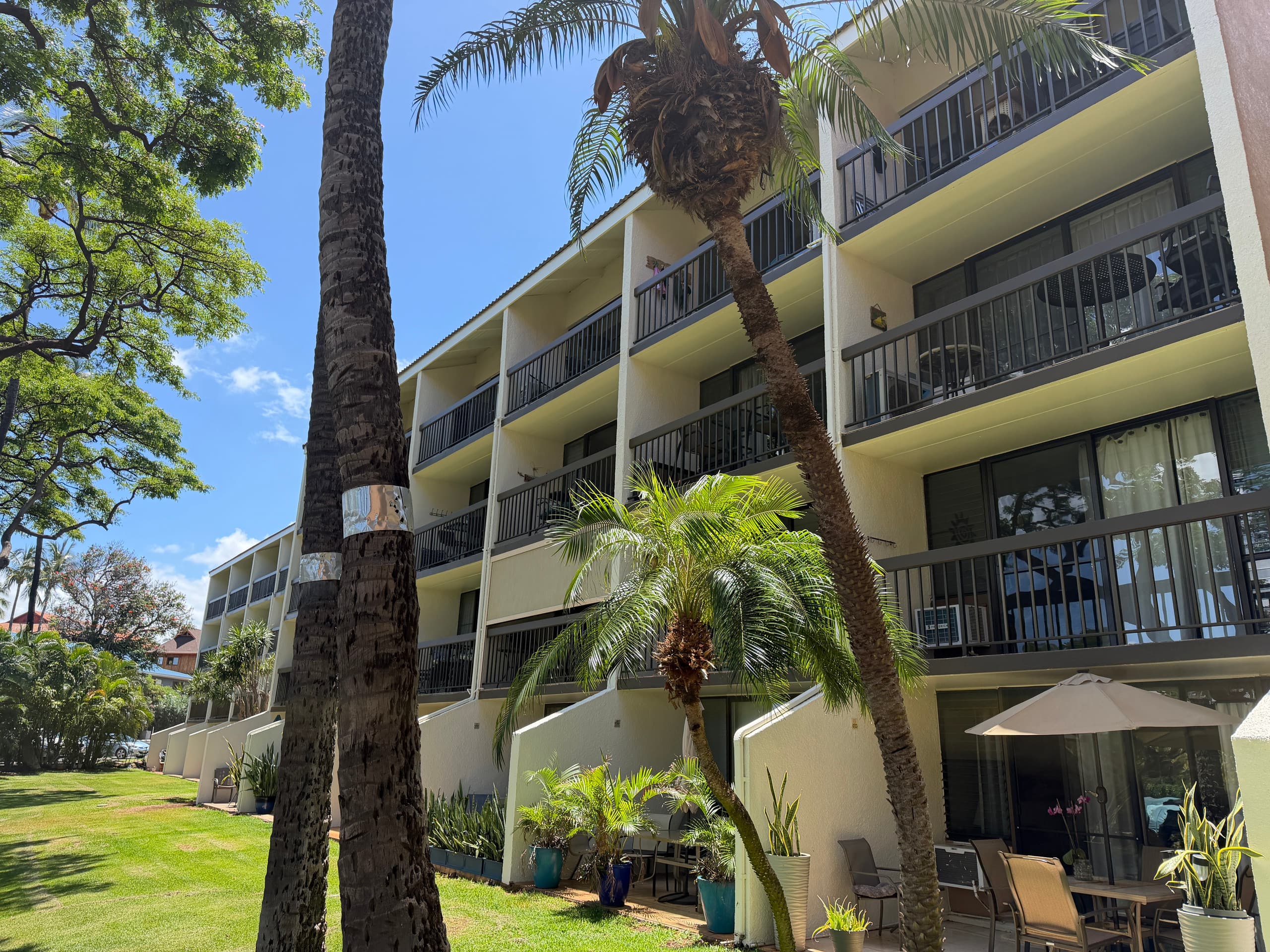 Condo in Kihei · ★4.96 · 1 bedroom · 2 beds · 1 bath - Image 39