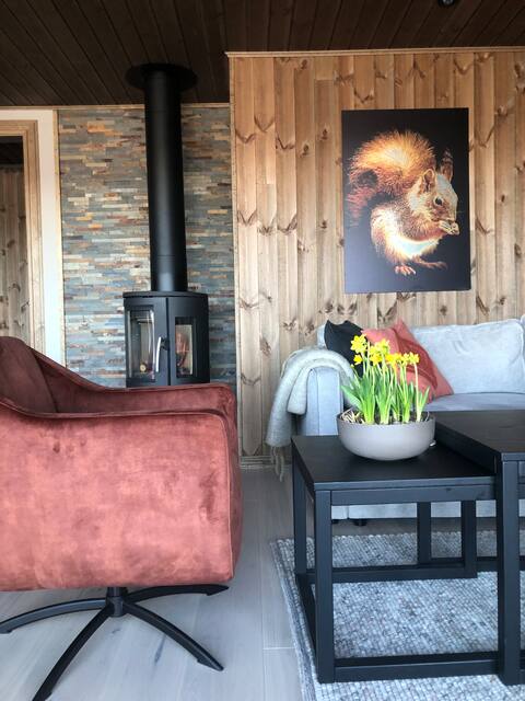 Popular Airbnb listing: Ekornhytta (Squirrel-cabin) in Innlandet