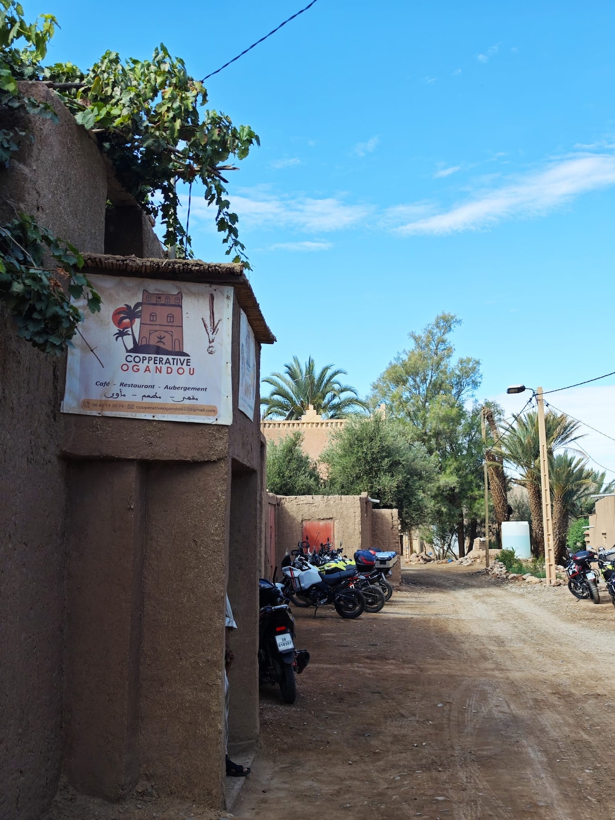 An entrance is visible, marked by a sign from the cooperative, with earthy-colored walls adorned by greenery. A dirt path leads away, lined with palm trees and rustic vehicles parked on one side, creating a serene country atmosphere.