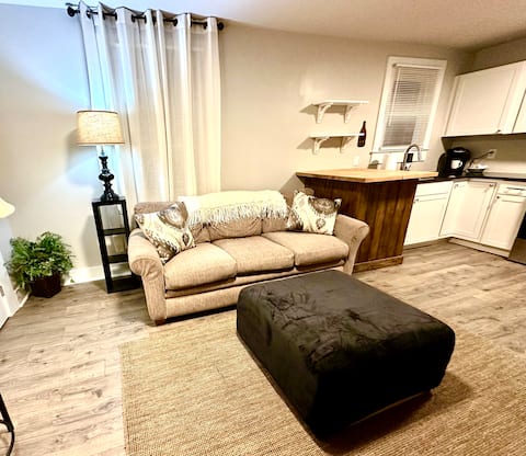 Top performing Airbnb: Cute Condo Near Downtown in Battery Heights