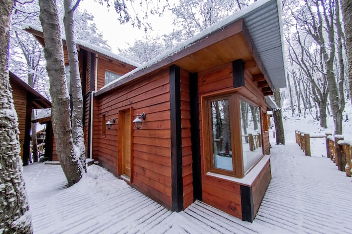 Habitación Con Vista Al Bosque - Patagonia Villa - Ushuaia