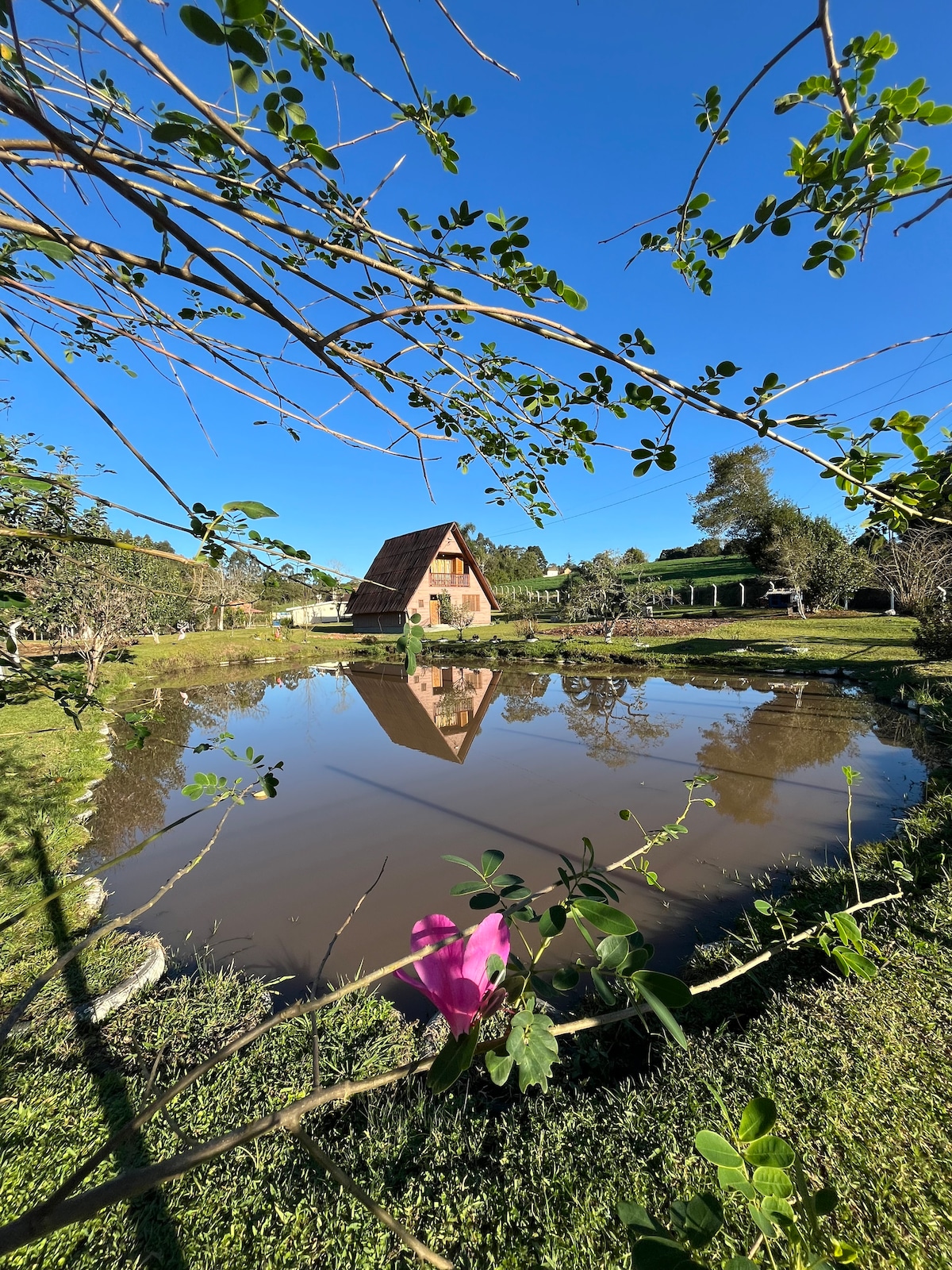 A charming cabin is reflected in a serene pond, surrounded by lush greenery. Clear blue skies frame the scene, while a pink flower adds a pop of color in the foreground. The area conveys a peaceful and inviting ambiance amidst nature.