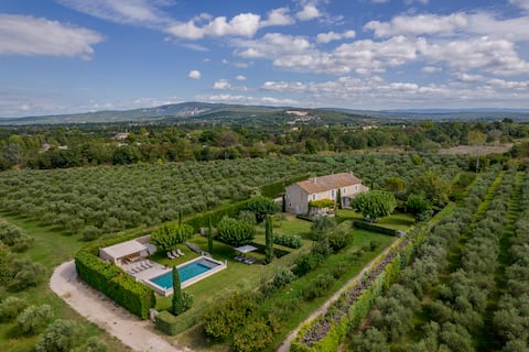 Provencal Mas - 14 guests - in olive grove Luberon