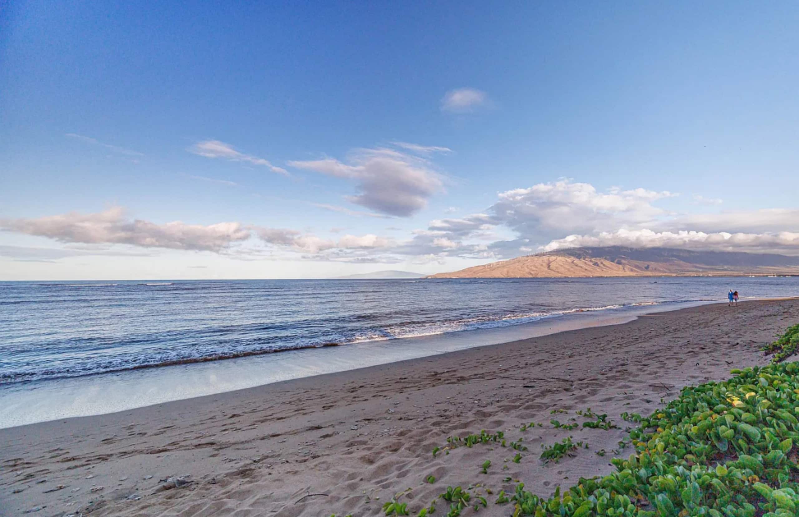 Home in Kihei · ★4.71 · 2 bedrooms · 3 beds · 2 private baths - Image 19