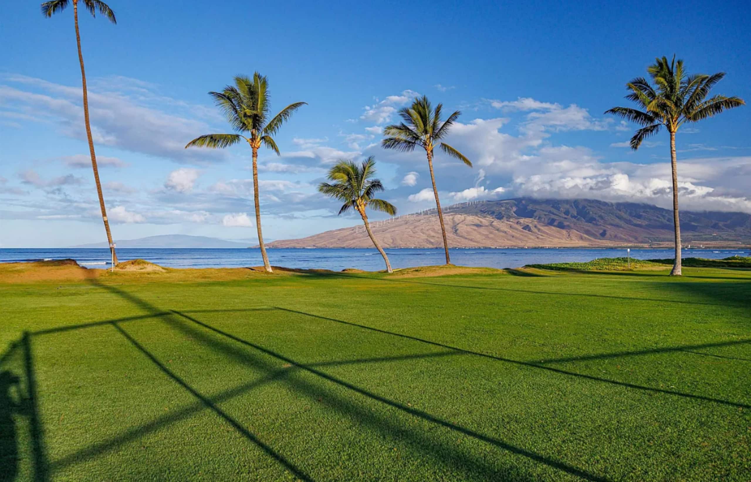 Home in Kihei · ★4.71 · 2 bedrooms · 3 beds · 2 private baths - Image 21