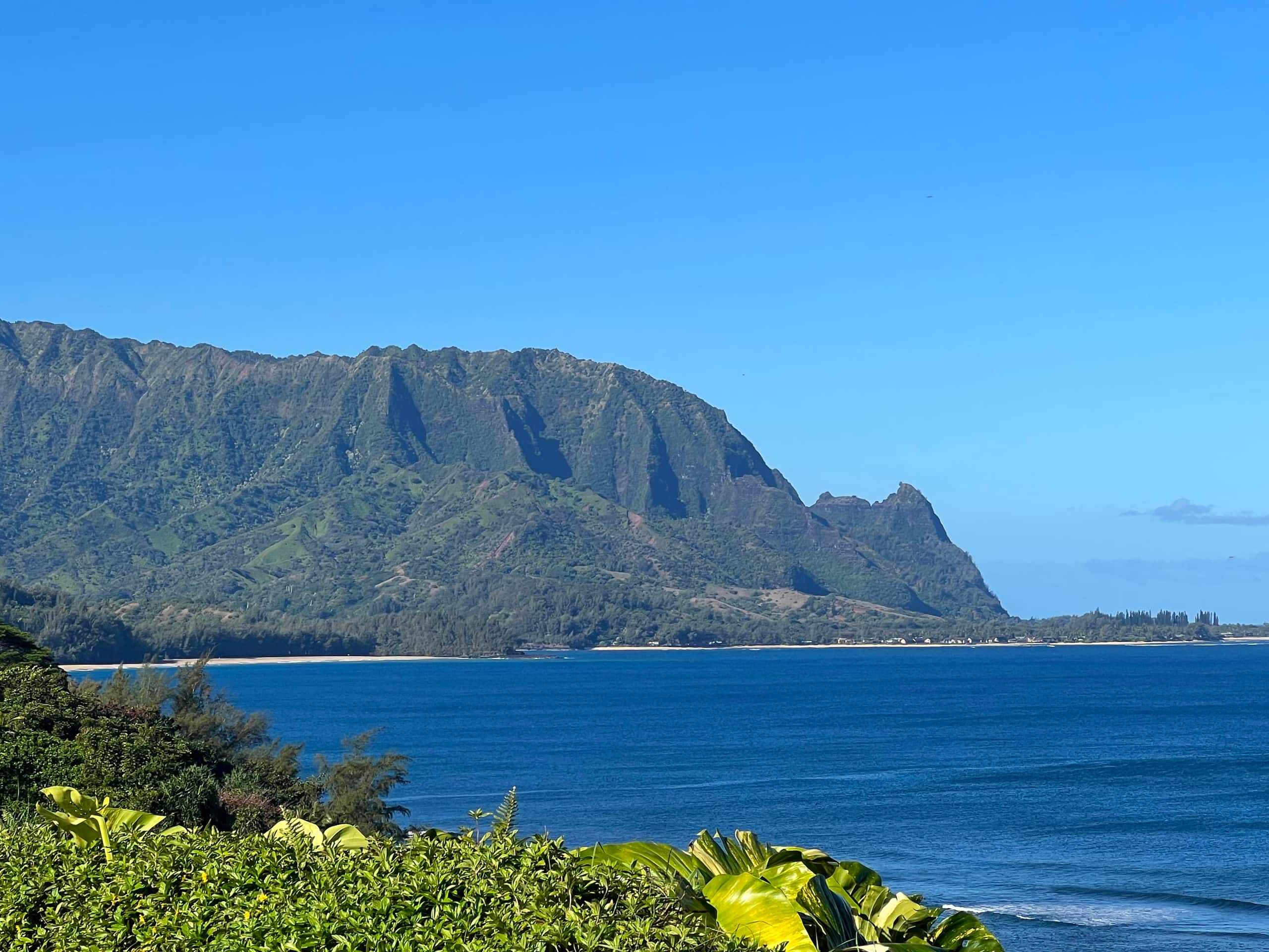 Condo in Princeville · ★4.97 · Studio · 1 bed · 1 bath - Image 21