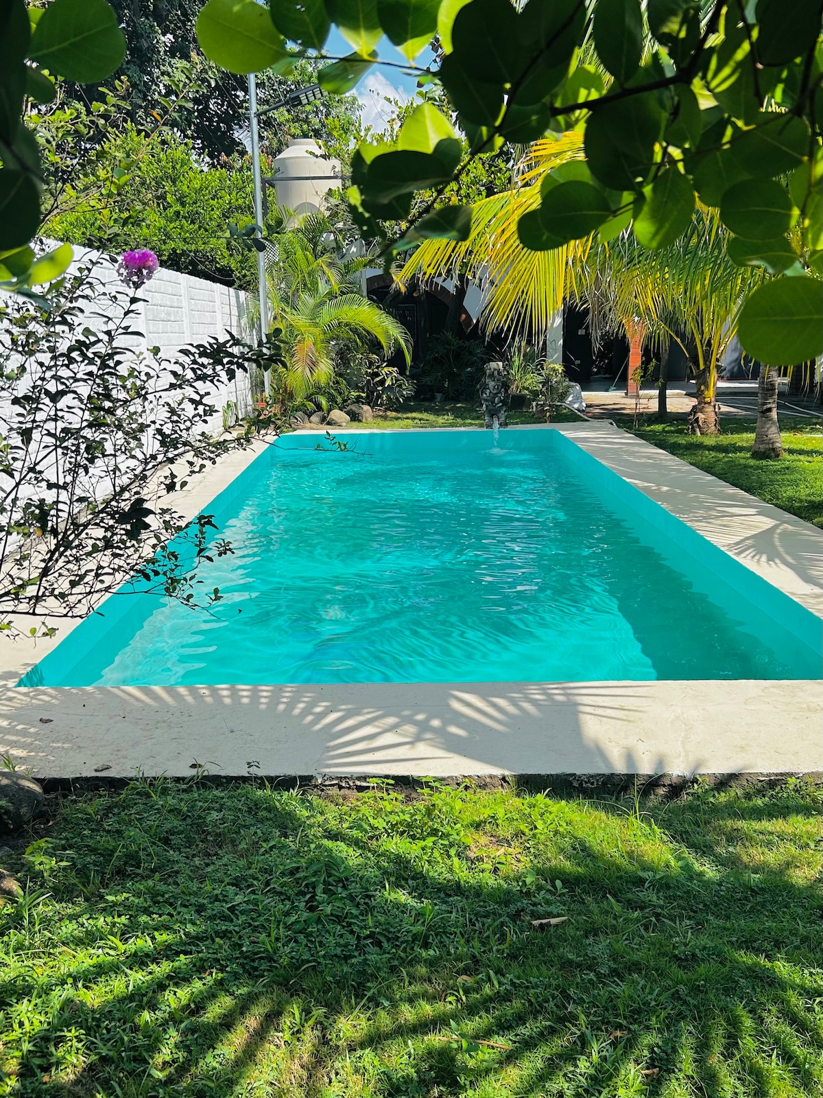 A spacious outdoor swimming pool is surrounded by lush greenery and palm trees. The clear turquoise water reflects sunlight, and a gentle fountain adds a soothing touch. The pool area features a manicured lawn, providing a serene environment for relaxation.