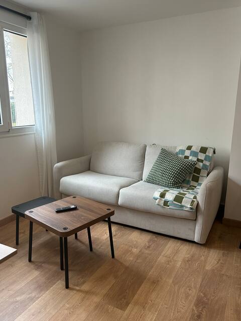 Successful Airbnb property: Charming Apartment in Nancy in Nancy