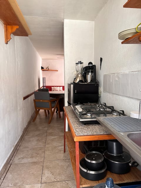 Airbnb con mejor rendimiento: The house of the Xolo en San Luis Potosí