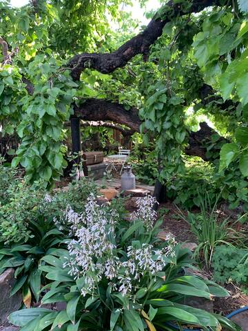 Battery Point Garden House gallery image 3