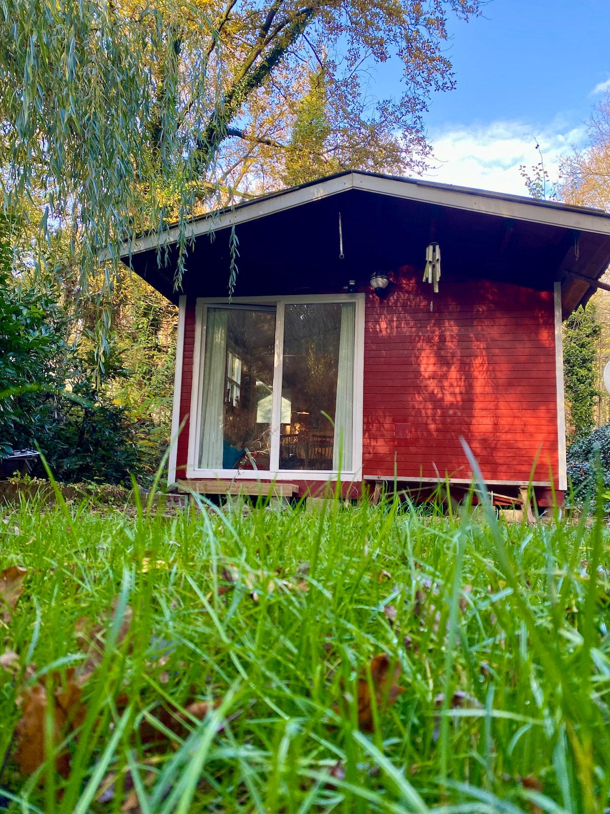 The charming red cabin is nestled in a lush green setting, surrounded by tall trees and grass. A large window forms the front wall, inviting natural light inside, while a glimpse of rustic furnishings can be seen through the glass.