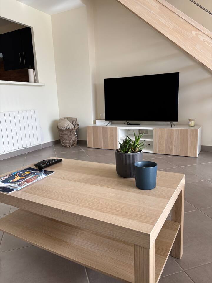 Appartement Vue Sur La Loire - ibis Styles Gien