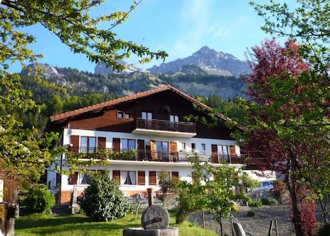 Propriété Airbnb réussie: exceptional view of Mont Blanc, 25 min to Chamonix à Passy