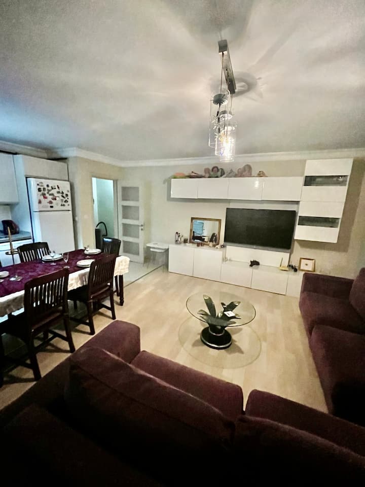 65 screen tv netlix,youtube,wi-fi,sofa set,TV unit, konferenčné stolíky a caö konferenčný stolík,cetky,stôl