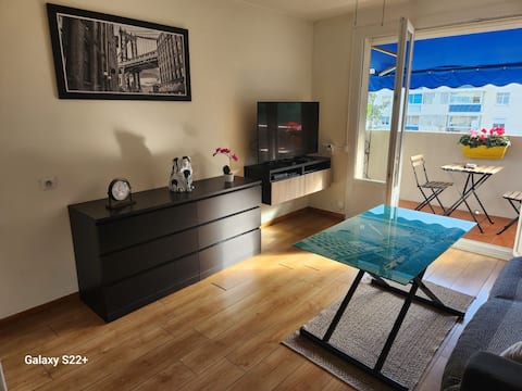 Top performing Airbnb: 45 m² apartment in Mandelieu La Napoule