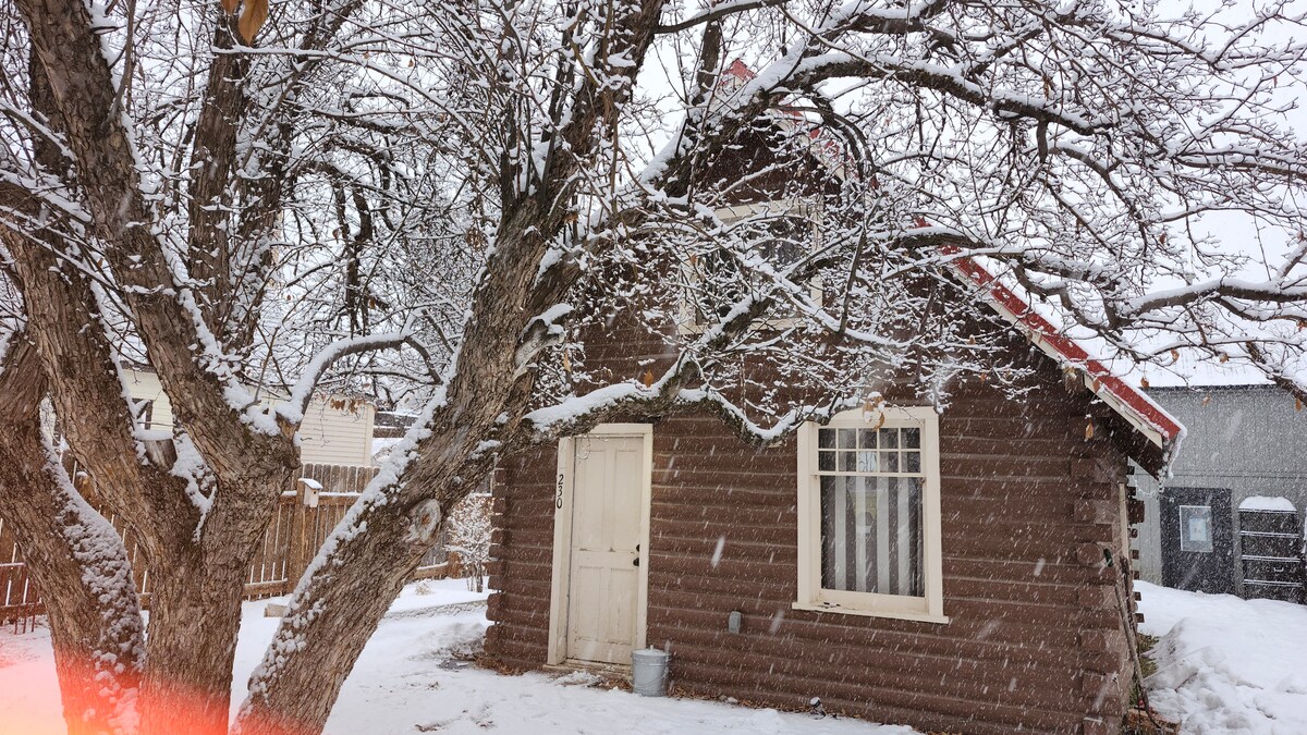 A rustic cabin with a wooden exterior is framed by snow-covered trees. Snowflakes gently fall, creating a serene winter scene. A white door and a large window are visible on the front, inviting the warmth of the interior amidst the snow.