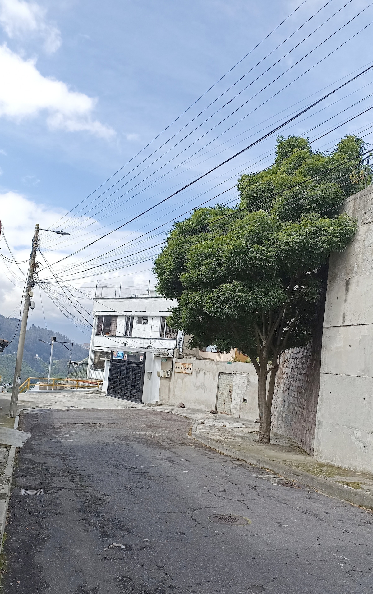 A quiet street is depicted, lined with a tree on one side and a building on the other. Power lines stretch across the sky, and a view of the distant mountains can be seen in the background. The road appears well-maintained, contributing to the neighborhood's tranquil atmosphere.