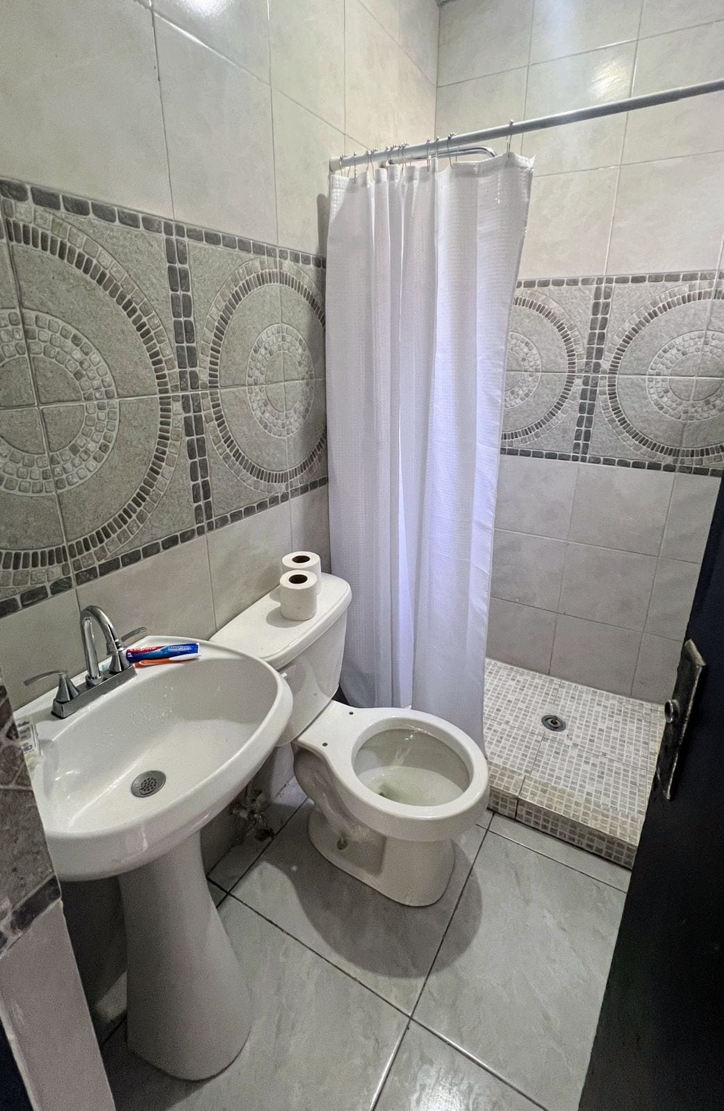 The bathroom features tiled walls with a geometric pattern, showcasing a shower area with a curtain. A modern pedestal sink and toilet provide essential facilities, while a toilet paper roll is placed conveniently on a holder.