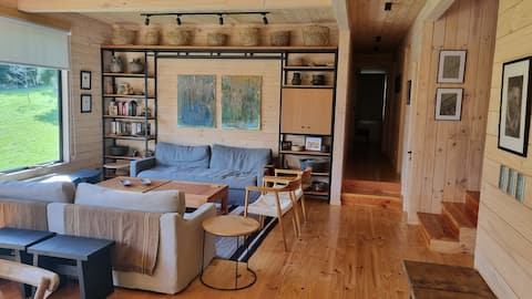 Successful Airbnb property: Cozy house steps away from Lake Ranco in Lago Ranco