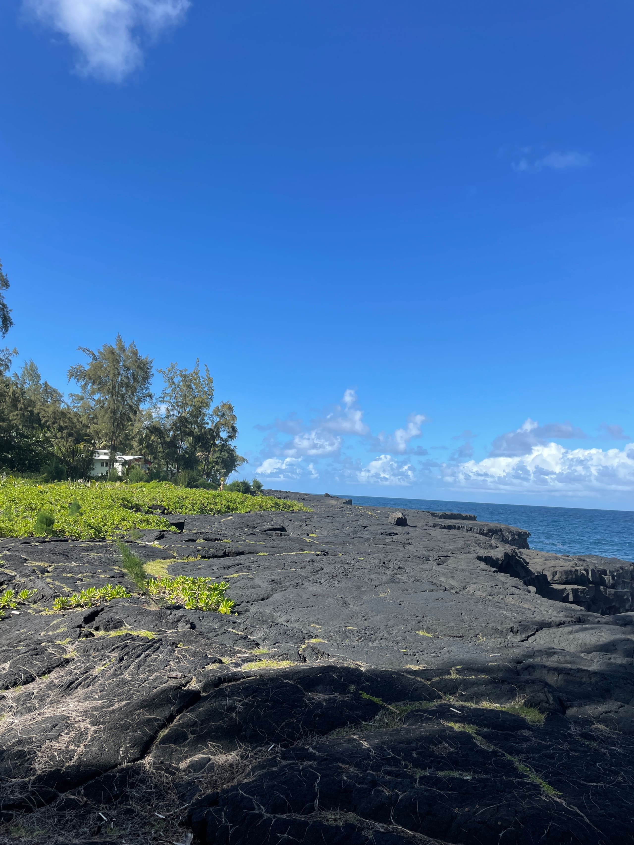Guava Ohana - Photo 15