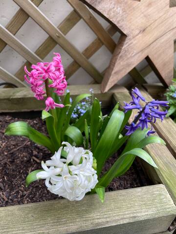 Quiet apartment close to center gallery image 2