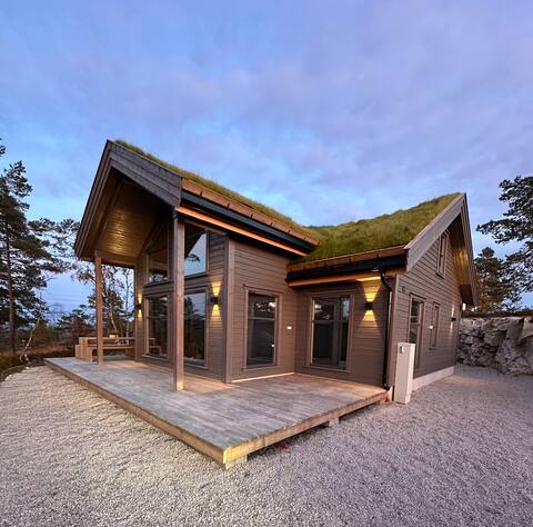 Modern northern lights cabin
