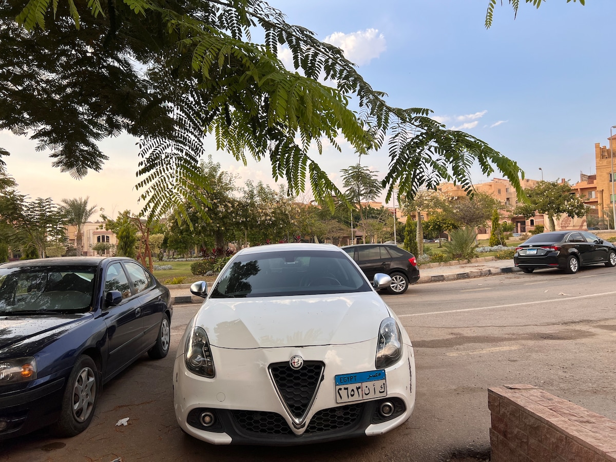 A white car is parked along a tree-lined street, with lush greenery visible in the background. Several other parked vehicles are present, and the area features a peaceful atmosphere enhanced by the surrounding foliage.