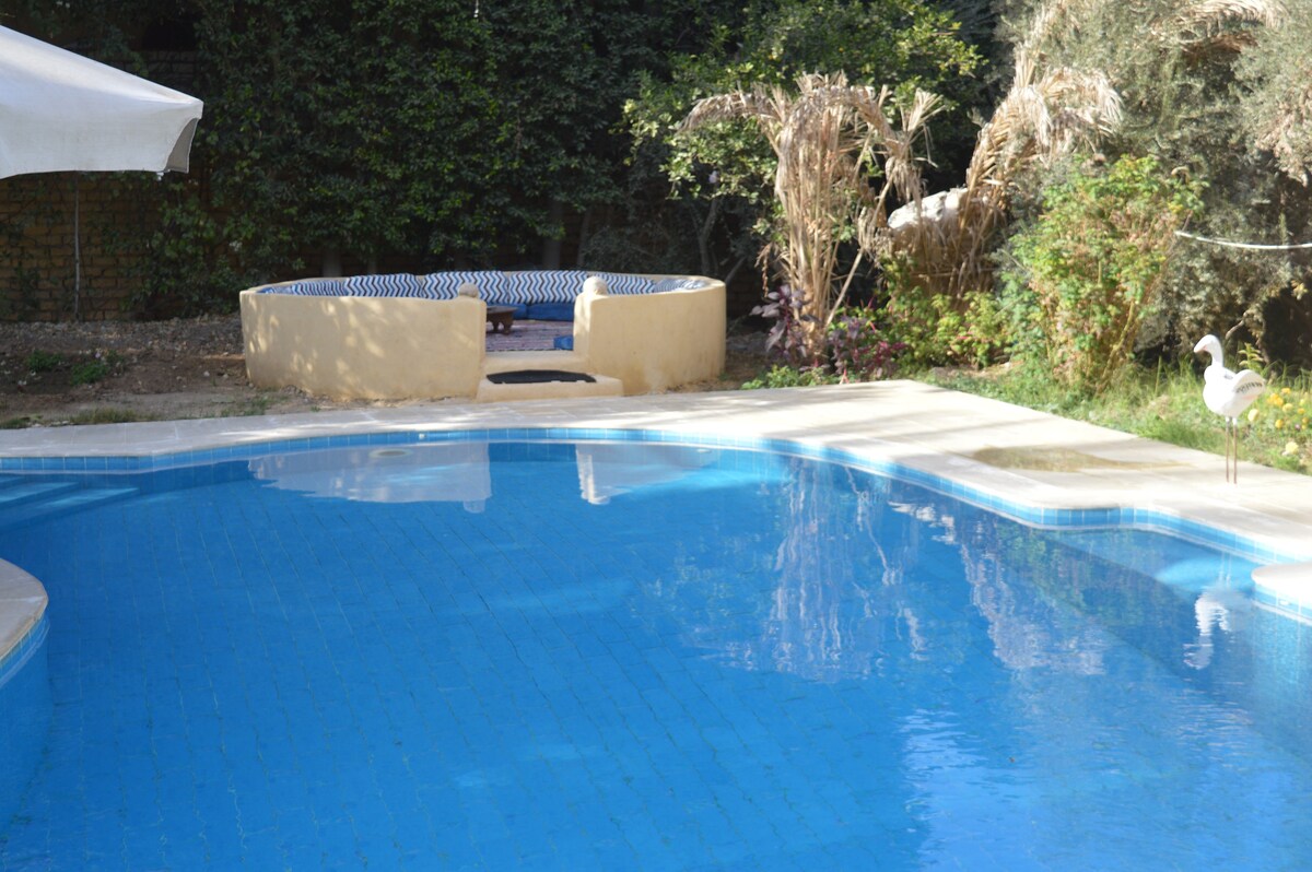 A clear blue swimming pool is framed by lush greenery. A circular seating area with cushioned benches is positioned nearby, inviting relaxation. A sculpture of a flamingo stands at the edge of the pool, adding a whimsical touch to the tranquil outdoor space.