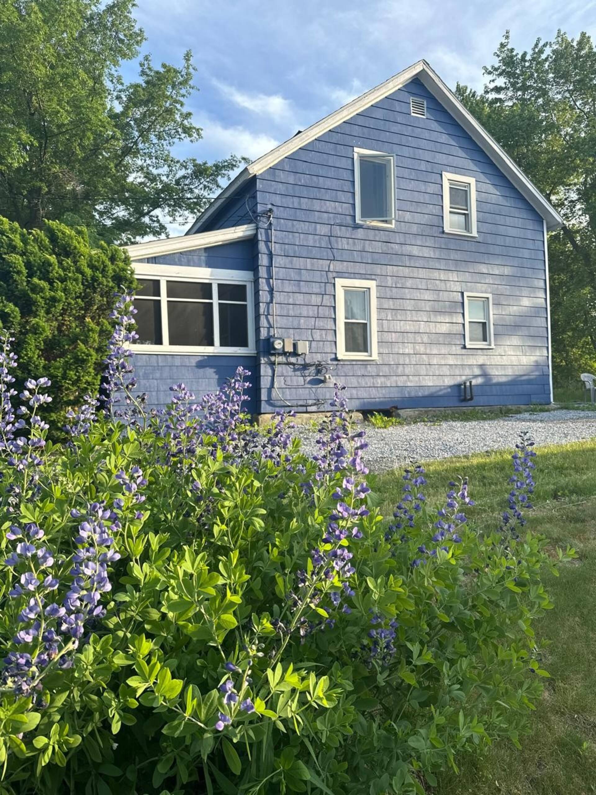 Blue Cozy Ski House