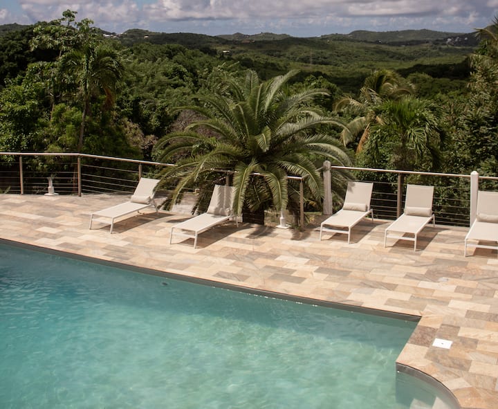 Villa Caryota | Panorama Montagnes & Piscine 9m - Martinique