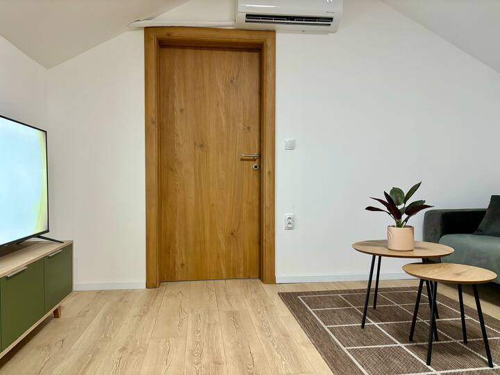 Promo Apartman Self Check In - Pirot