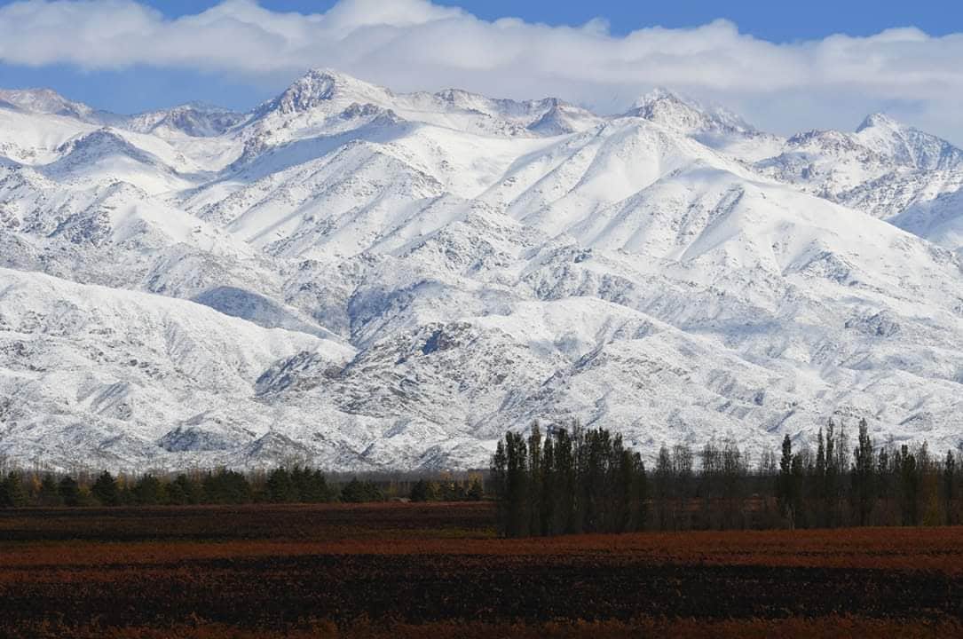 A vast mountain range covered in a layer of snow is displayed against a clear blue sky. Below, a patchwork of red and orange foliage can be seen, alongside a group of trees that define the landscape's lower section.