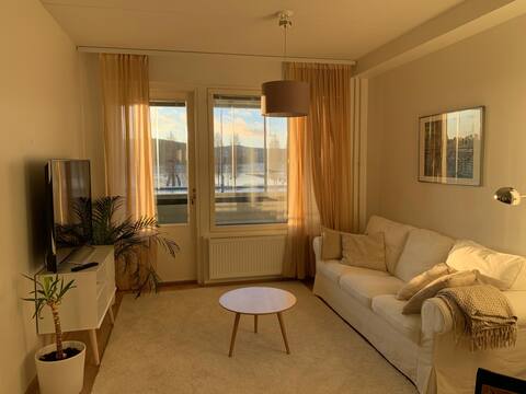 Top performing Airbnb: Classy apartment in Lutakko in Lutakko