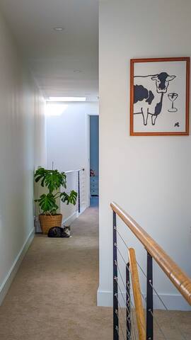 Stylish & Spacious Beach House gallery image 3