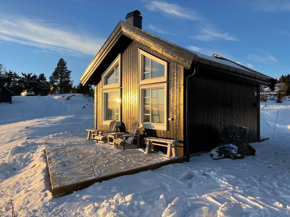 A modern cabin is framed by pristine snow, with large windows reflecting warm sunlight. Wooden benches are positioned on a front deck, inviting relaxation. Surrounding trees are partially visible, creating a peaceful winter setting.