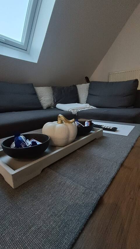 Beautiful attic apartment in the center of Tuttlingen