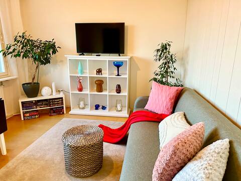 Popular Airbnb listing: Bright two-bedroom apartment with lake view in Lahti
