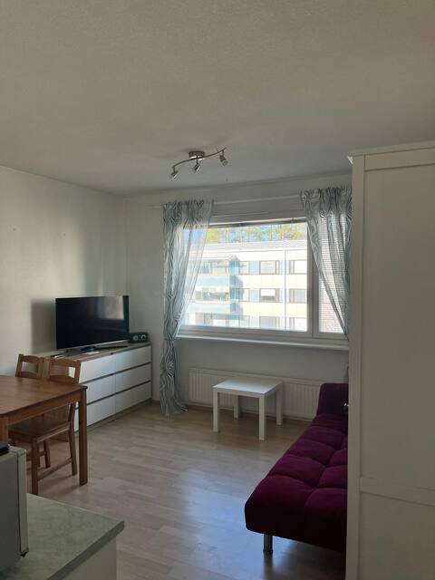 Effective one bedroom flat 36m2