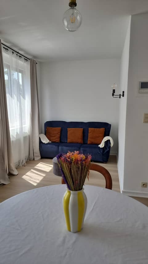 Top Airbnb: Maison Agathe in Région De Bruxelles Capitale