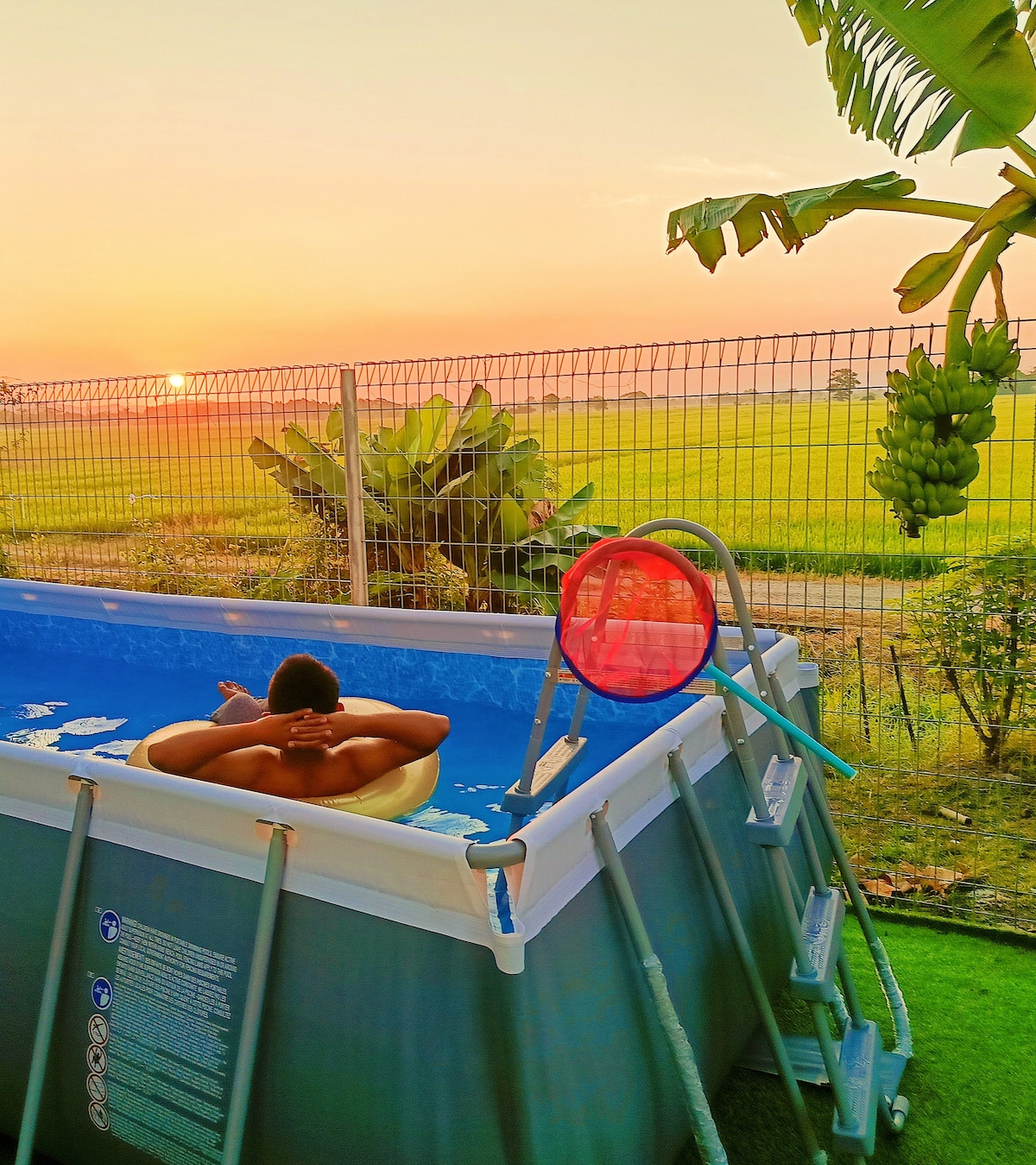 A swimming pool is framed by greenery, with a tranquil field visible in the background. A figure relaxes in the water, while a red net leans against the pool's edge. The scene is enhanced by the warm hues of a sunset.
