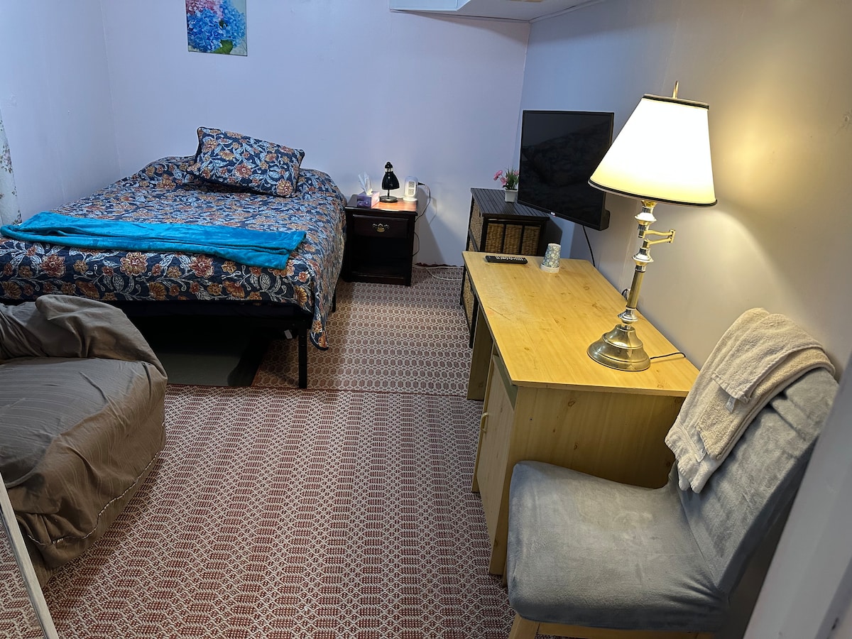 A warmly lit basement room features a floral-patterned bedspread draped over a spacious bed. A textured rug covers the floor, and a rustic desk with a chair is positioned beside a lamp. A television is mounted on the wall opposite the bed.